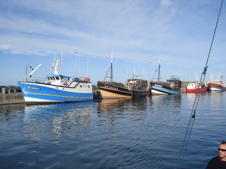 Les caseyeurs et fileyeurs dans le port de Roscoff en vives eaux